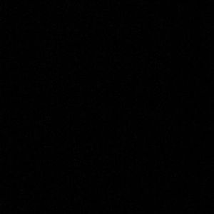 Meet your Posher, Pat